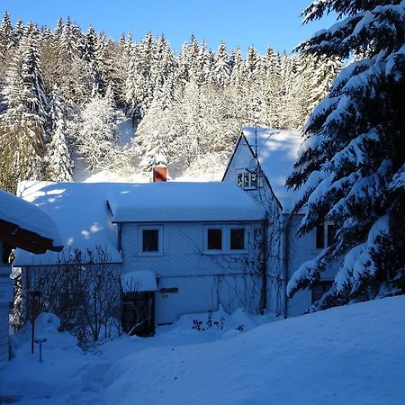 Ferienwohnung Bauer Alter Hammer Шмидефельд-ам-Ренштайг Экстерьер фото