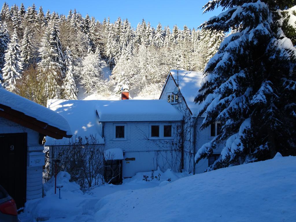 Ferienwohnung Bauer Alter Hammer Шмидефельд-ам-Ренштайг Экстерьер фото